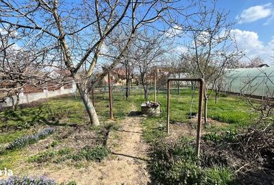 Casă cu 3 camere în Biharia - 4