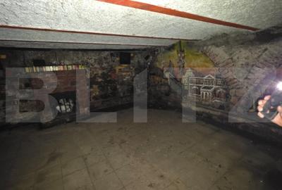 Proprietate istorica cu potential de transformare, in exclusivitate, 150 mp - 14
