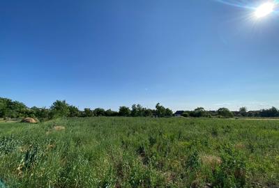 Casa de vacanta , 2 cam, teren 3.381 mp - 19