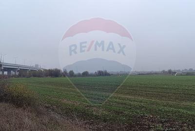 Teren de 5000 mp, în Tunari - 6