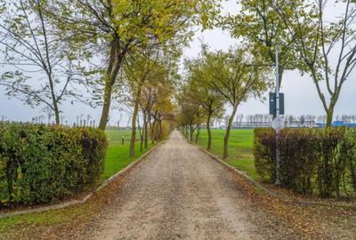 Teren de 1133 mp, în Afumați