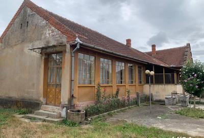 Casă cu 6 camere în Belinț - 10