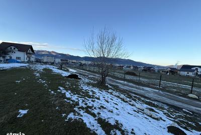 Spațiu comercial, în Central - 5