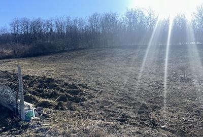 Spațiu comercial, în Vlădiceni - 5