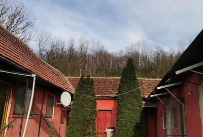 Casă cu 4 camere cu Teren 150 Mp în Nadăș - 1