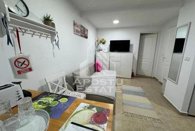 Apartament cu o camera, centrala proprie, AC, zona Lipovei - 3