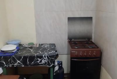 Inchiriez camera camin - 2