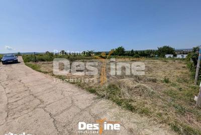 Teren de 974 mp, în Bucium - 6