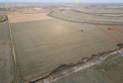 Mosnita Noua - Teren Pentru Investitie - 3800 mp - 18500 Euro - 2