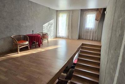 Casă cu 5 camere cu Teren 2763 Mp în Băița - 10