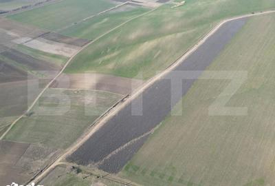 Teren de 45000 mp, în Dobrovăț - 2