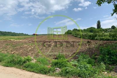 Teren intravilan | 5100 mp | zona Gusterita - 1