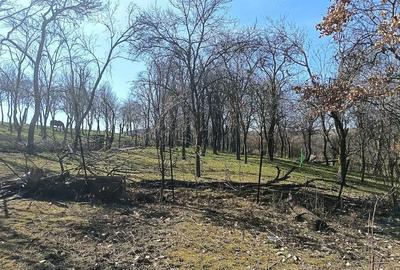 Casă cu Teren 1565 Mp în Sângătin - 2
