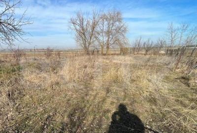 Casa P+1 + hala, cu 2083 mp de teren, zona Aeroport/Peugeot - 2