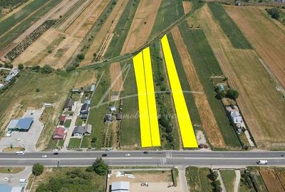 Teren cu potential de dezvoltare –7427 mp in Argeselu, Maracineni, judetul Arges - 2