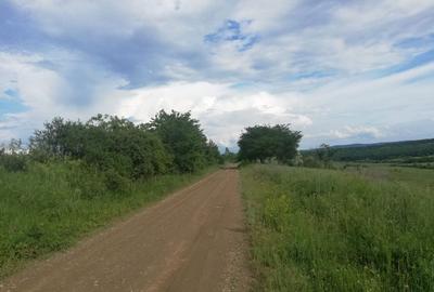 Teren de 35000 mp, în Exterior Vest - 3