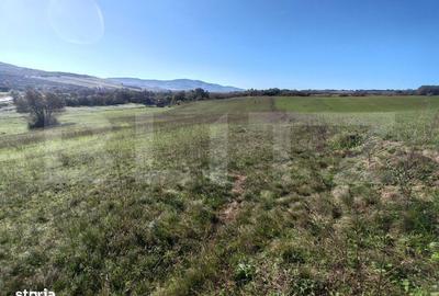 Spațiu comercial, în Central - 5