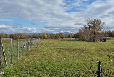 Teren de 2700 mp, în Chechiș - 5