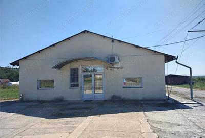 Spațiu comercial, de 972 mp, în Mișca - 1