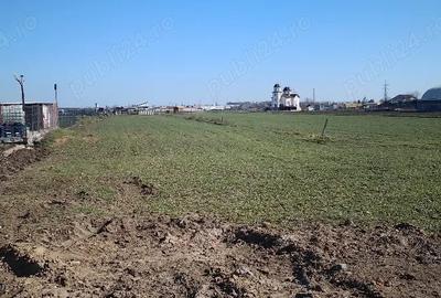 Teren de 3000 mp, în Palas - 7