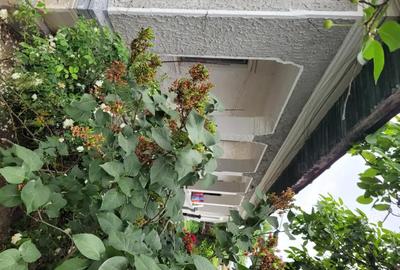 Casă cu 5 camere cu Teren 1351 Mp în Tânganu - 4