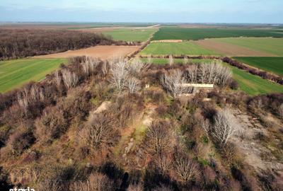 Spațiu comercial, în Nuci - 16