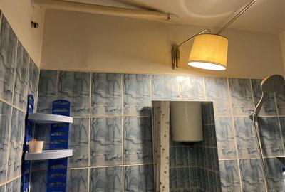 Apartament cu 4 camere decomandat, mobilat în Burdujeni - 6