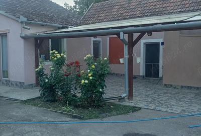 Casă cu 4 camere cu Teren 3264 Mp în Dorobanți - 1