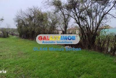 Spațiu comercial, în Petrești - 6