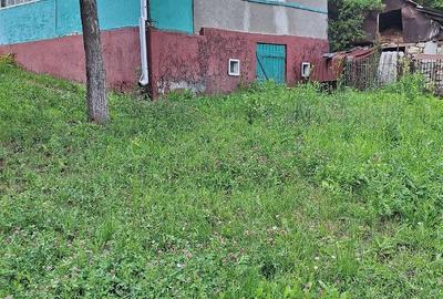 Casă cu 2 camere cu Teren 6000 Mp în Tioltiur - 7