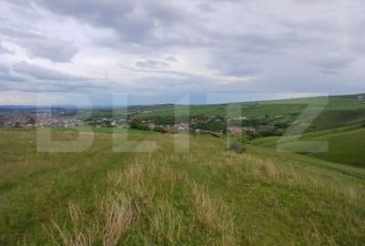 Teren de 1249 mp, în Copăceni - 2