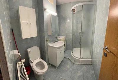 Apartament cu 2 camere decomandat în Aradului - 4