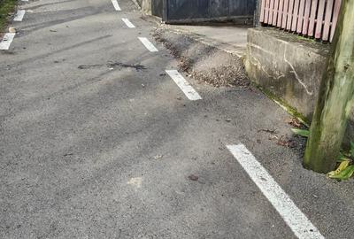 Casă cu 3 camere cu Teren 1538 Mp în Măgura (Bezdead) - 4