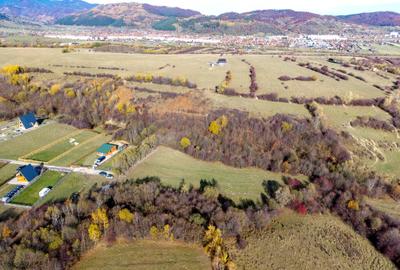 Teren Construcții intravilan de 2500 mp, în Tohănița - 3