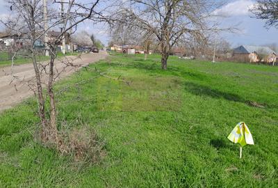 Teren Construcții intravilan de 3400 mp, în Buturugeni - 31
