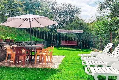 Pensiune 3 margarete - 3