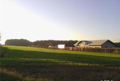 Teren de 4100 mp, în Tâncăbești - 3