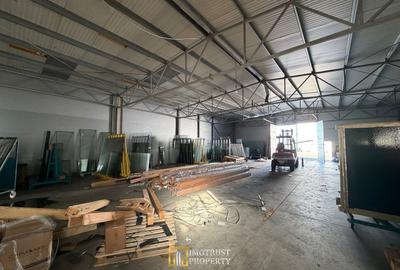 Spațiu industrial, de 526 mp, în Exterior Sud - 6