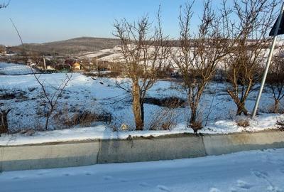 Teren de 750 mp, în Popricani - 5