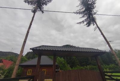 Casa de vacanta , zona Soarecului , Marginea - 21