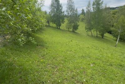 Teren de poveste, intru un sat de poveste Pestera/Moeciu/Brasov - 3