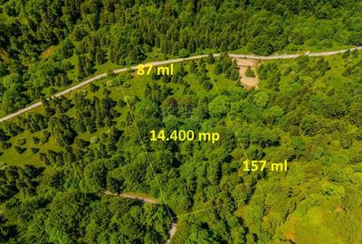 Teren extravilan de 14400 mp, în Cheile Râșnoavei - 9