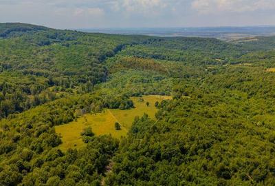 COMISION 0% Teren Grid/Inima Naturii/ Oportunitate de inv... - 2