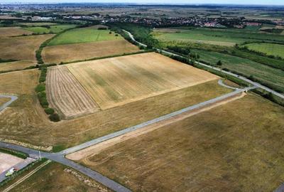 Teren Construcții intravilan de 1500 mp, în Moșnița Nouă - 8