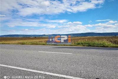 Teren iesire din Nicolae Balcescu, la 200ml de E85 Bacau - 5