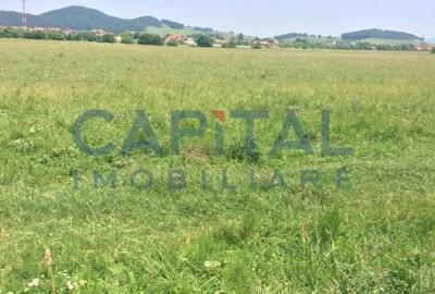 Teren de vanzare extravilan, Sanpetru - 2