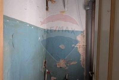 Casă cu 11 camere cu Teren 330 Mp în Iancului - 27