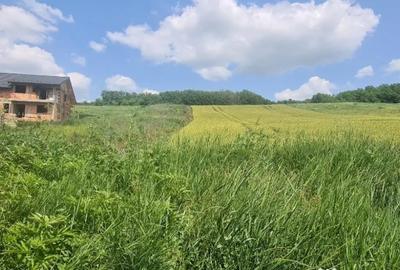 Casă cu 8 camere cu Teren 2370 Mp în Central - 1