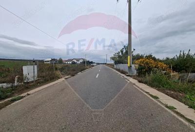 Teren 5.000 mp strada Tineretului, ora?ul Buhu?i - 1