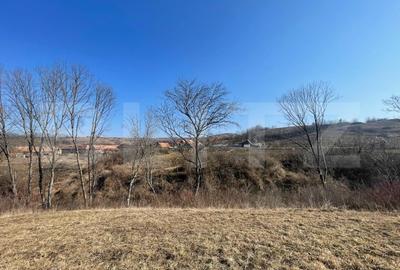 Casa zona Sancel, 8150mp teren - 7